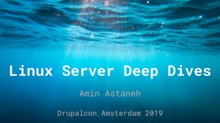 Linux Server Deep Dives
Amin Astaneh
Drupalcon Amsterdam 2019
 