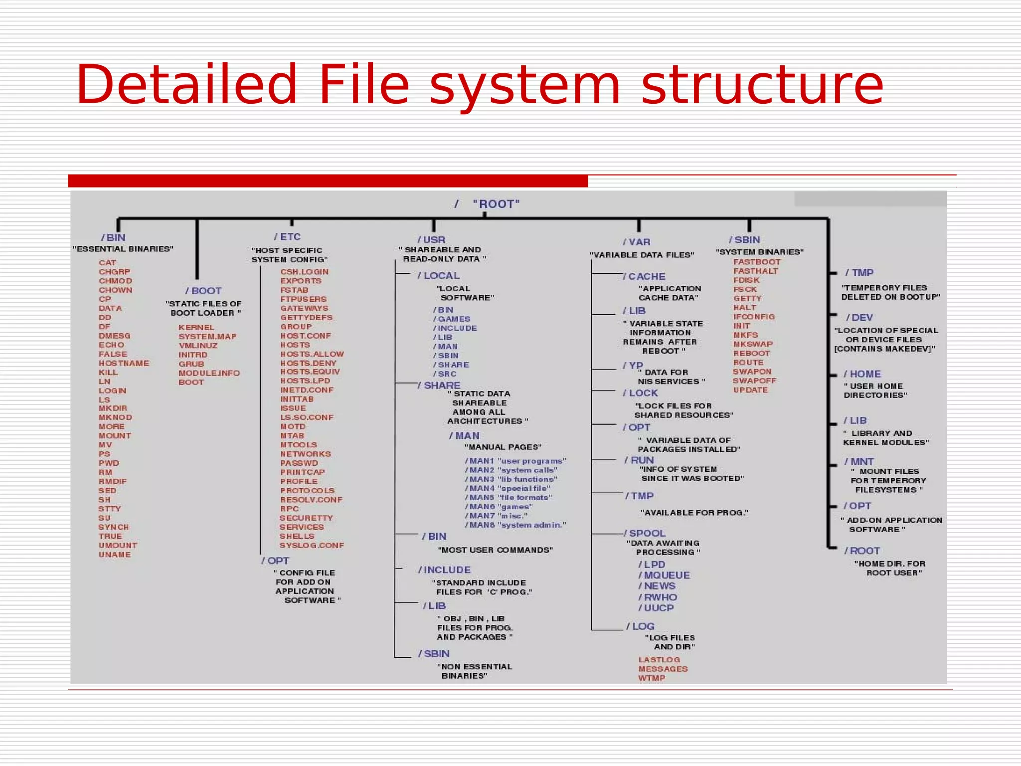 Detailed File system structure
 