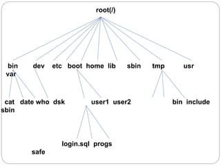 root(/)
bin dev etc boot home lib sbin tmp usr
var
cat date who dsk user1 user2 bin include
sbin
login.sql progs
safe
 