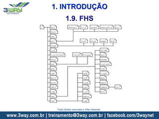 1. INTRODUÇÃO
1.9. FHS
Todos direitos reservados a 3Way Networks
 