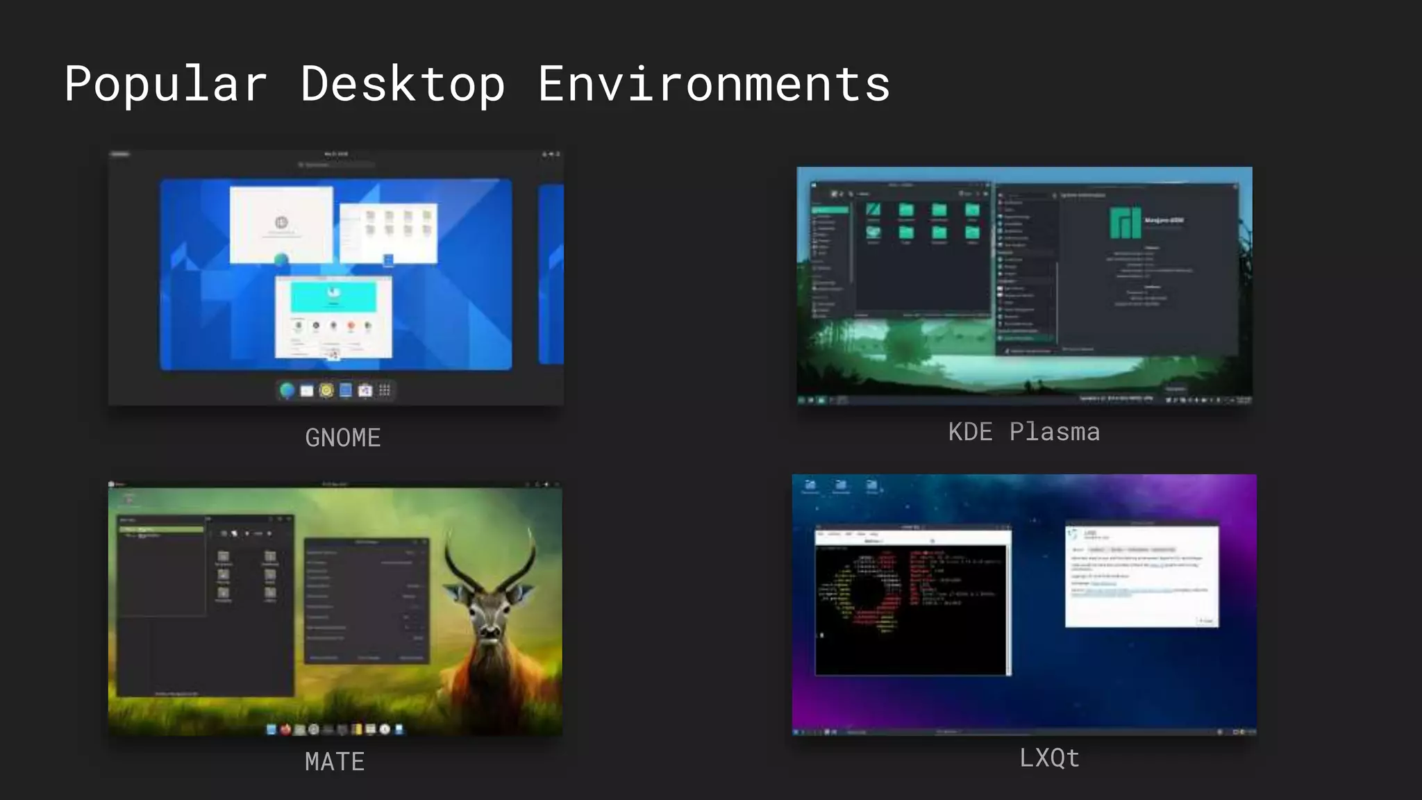 GNOME
Popular Desktop Environments
KDE Plasma
MATE LXQt
 
