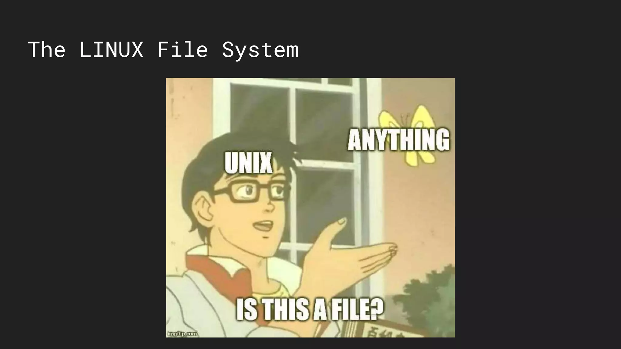 The LINUX File System
 