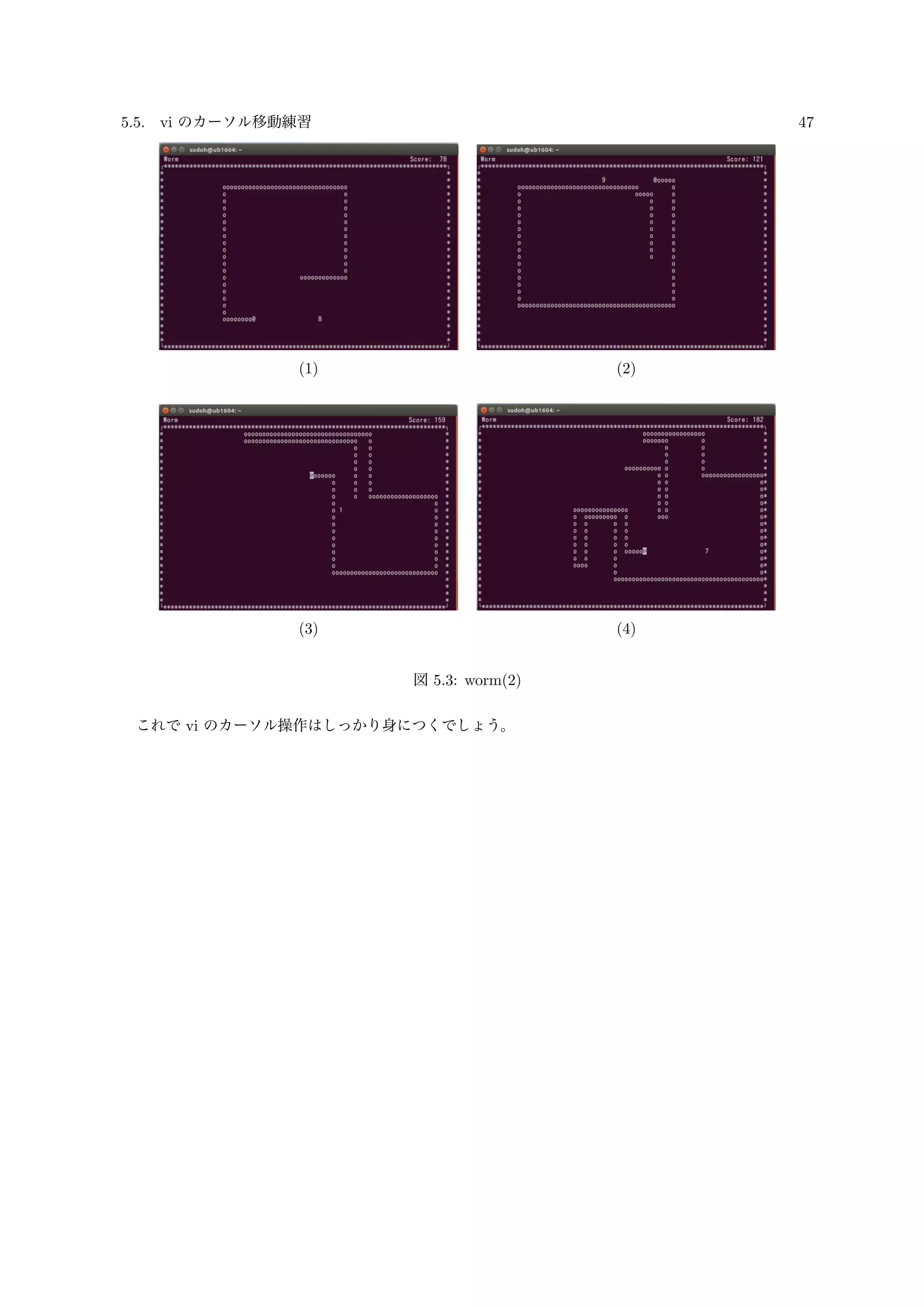 5.5. vi のカーソル移動練習 47
(1) (2)
(3) (4)
図 5.3: worm(2)
これで vi のカーソル操作はしっかり身につくでしょう。
 