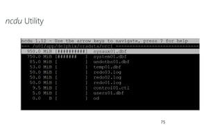 ncdu Utility
75
 