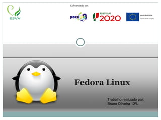 Fedora Linux
Trabalho realizado por:
Bruno Oliveira 12ºL
 
