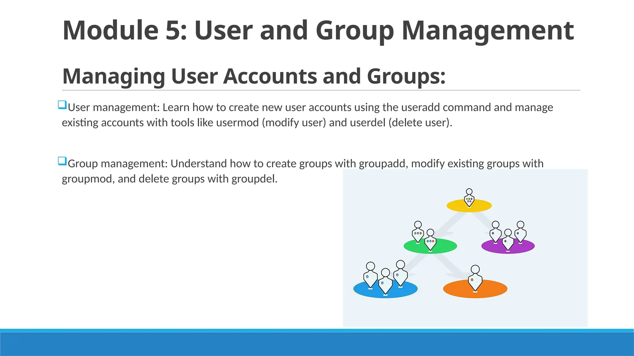 Module 5: User and Group Management
Managing User Accounts and Groups:
User management: Learn how to create new user accounts using the useradd command and manage
existing accounts with tools like usermod (modify user) and userdel (delete user).
Group management: Understand how to create groups with groupadd, modify existing groups with
groupmod, and delete groups with groupdel.
 