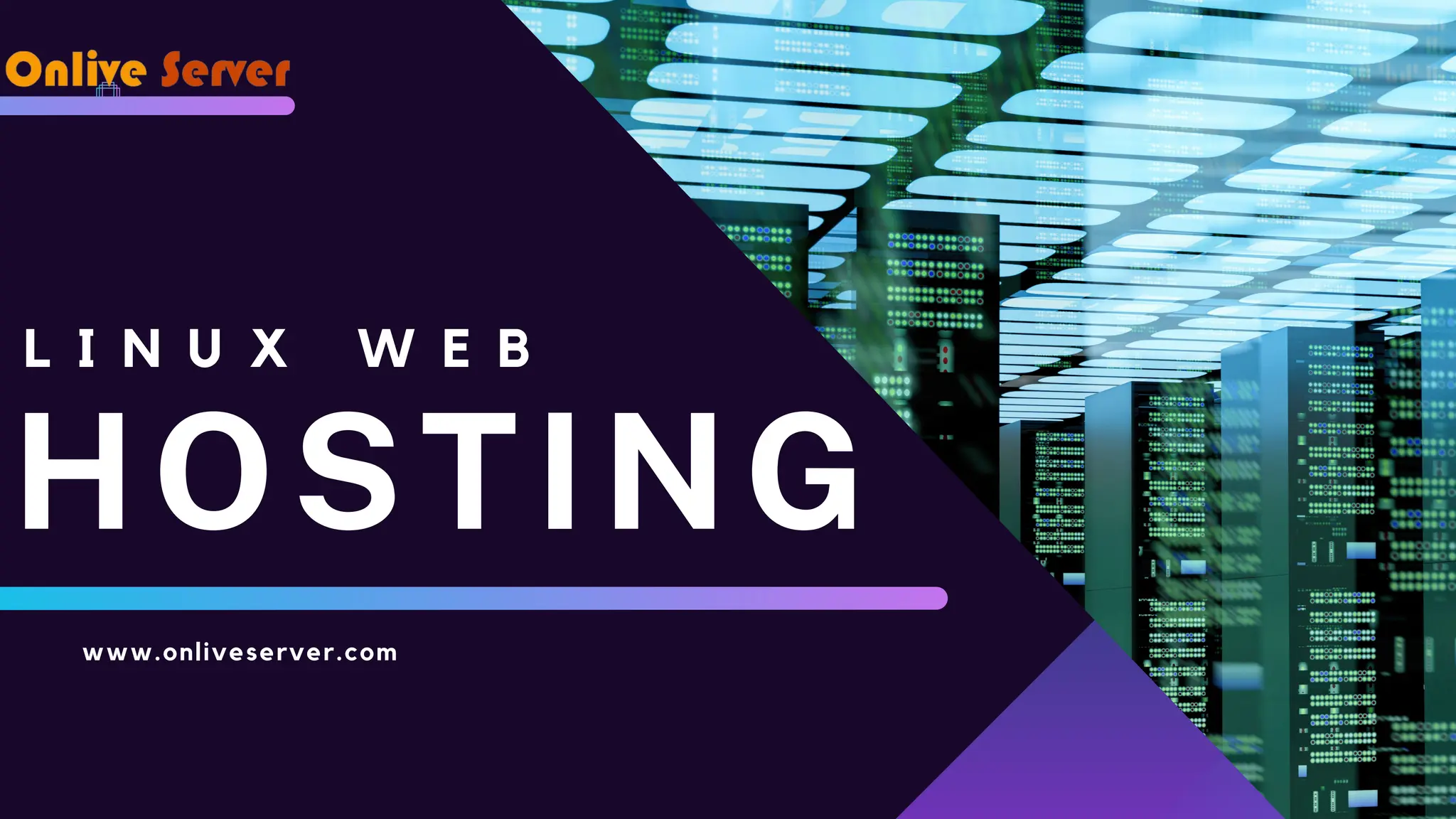 L I N U X W E B HOSTING www.onliveserver.com 