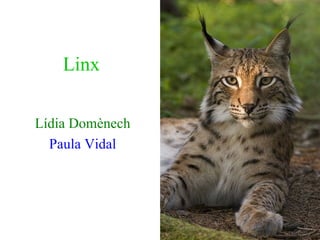 Linx Lídia Domènech Paula Vidal 