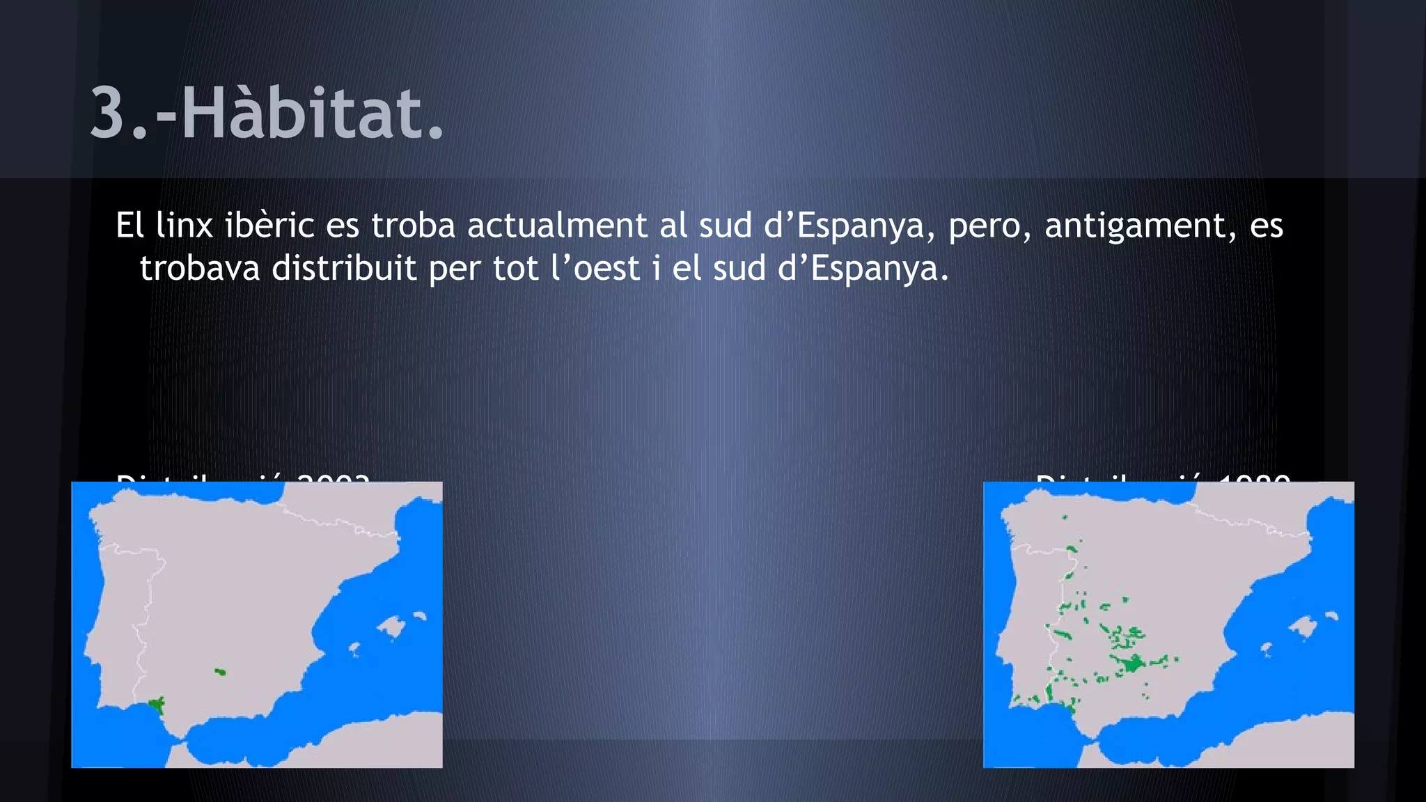 3.-Hàbitat.
El linx ibèric es troba actualment al sud d’Espanya, pero, antigament, es
trobava distribuit per tot l’oest i el sud d’Espanya.

Distribució 2003

Distribució 1980

 