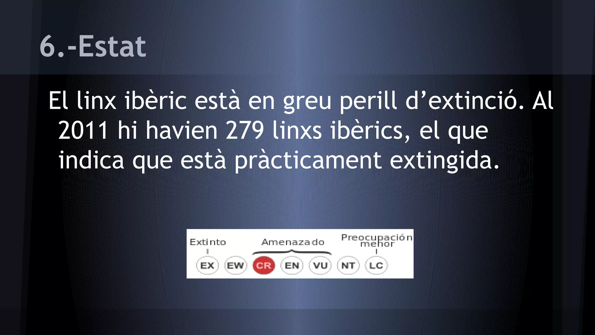 6.-Estat
El linx ibèric està en greu perill d’extinció. Al
2011 hi havien 279 linxs ibèrics, el que
indica que està pràcticament extingida.

 