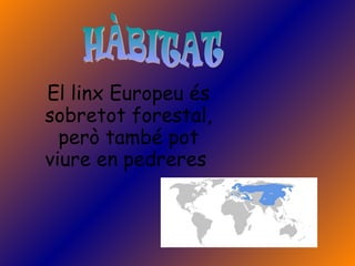 El linx Europeu és
sobretot forestal,
  però també pot
viure en pedreres
 