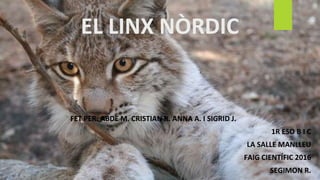 EL LINX NÒRDIC
FET PER: ABDE M. CRISTIAN R. ANNA A. I SIGRID J.
1R ESO B I C
LA SALLE MANLLEU
FAIG CIENTÍFIC 2016
SEGIMON R.
 