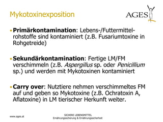 Mykotoxinexposition

• Primärkontamination: Lebens-/Futtermittel-
  rohstoffe sind kontaminiert (z.B. Fusariumtoxine in
  Rohgetreide)

• Sekundärkontamination: Fertige LM/FM
  verschimmeln (z.B. Aspergillus sp. oder Penicillium
  sp.) und werden mit Mykotoxinen kontaminiert

• Carry over: Nutztiere nehmen verschimmeltes FM
  auf und geben so Mykotoxine (z.B. Ochratoxin A,
  Aflatoxine) in LM tierischer Herkunft weiter.

                          SICHERE LEBENSMITTEL
www.ages.at
                 Ernährungssicherung & Ernährungssicherheit
 