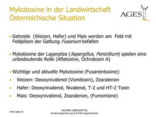 Mykotoxine in der Landwirtschaft
Österreichische Situation

• Getreide (Weizen, Hafer) und Mais werden am Feld mit
    Feldpilzen der Gattung Fusarium befallen

• Mykotoxine der Lagerpilze (Aspergillus, Penicillium) spielen eine
    unbedeutende Rolle (Aflatoxine, Ochratoxin A)

• Wichtige und aktuelle Mykotoxine (Fusarientoxine):
•     Weizen: Deoxynivalenol (Vomitoxin), Zearalenon
•     Hafer: Deoxynivalenol, Nivalenol, T-2 und HT-2 Toxin
•     Mais: Deoxynivalenol, Zearalenon, (Fumonisine)

                              SICHERE LEBENSMITTEL
www.ages.at
                     Ernährungssicherung & Ernährungssicherheit
 