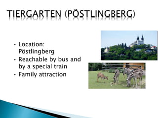 • Location: 
Pöstlingberg 
• Reachable by bus and 
by a special train 
• Family attraction 
 