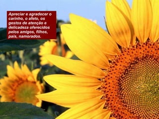 Apreciar e agradecer o carinho, o afeto, os gestos de atenção e delicadeza oferecidos pelos amigos, filhos, pais, namorados.   