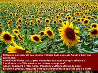 Selecione o melhor do seu mundo, valorize tudo o que de bonito e bom que existe nele!  Acredite no Poder da Luz para neutralizar qualquer situação adversa e transformar sua Vida em uma verdadeira obra-prima! Assim, começará a reter Força, Vitalidade e Alegria dentro de você. E como o girassol, estará de bem com a grande festa colorida que é a Vida!   