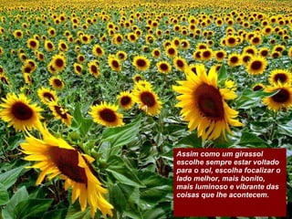 Assim como um girassol escolhe sempre estar voltado para o sol, escolha focalizar o lado melhor, mais bonito, mais luminoso e vibrante das coisas que lhe acontecem.  