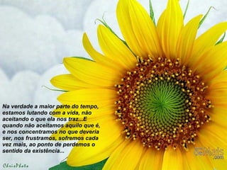 Na verdade a maior parte do tempo, estamos lutando com a vida, não aceitando o que ela nos traz...E quando não aceitamos aquilo que é, e nos concentramos no que deveria ser, nos frustramos, sofremos cada vez mais, ao ponto de perdemos o sentido da existência... 