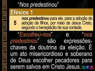 “Nos predestinou”
Efésios 1
5
nos predestinou para ele, para a adoção de
adoção de filhos, por meio de Jesus Cristo,
segundoobeneplácito desuavontade,
“Escolheu-nos” e “nos
predestinou” são expressões-
chaves da doutrina da eleição. É
um ato misericordioso e soberano
de Deus escolher pecadores para
serem salvos em Cristo Jesus.
 