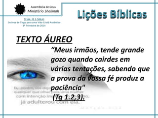 Assembléia de Deus
Ministério Shekinah
TEXTO ÁUREO
“Meus irmãos, tende grande
gozo quando cairdes em
várias tentações, sabendo que
a prova da vossa fé produz a
paciência"
(Tg 1.2,3).
 