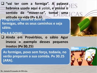  “vai ter com a formiga”. A palavra
hebraica usada aqui é yalak, e possui o
sentido de “mover-se”, tomar uma
atitude na vida (Pv 6.6).
 Até os insetos podem nos dar lições
sobre o trabalho! Mas não é apenas
isso que aprendemos com as formigas.
 Ainda em Provérbios, o sábio Agur
invoca o exemplo desses pequenos
insetos (Pv 30.25)
 Elas possuem uma noção sofisticada de
trabalho – “no verão [elas] preparam a
sua comida”.
Preguiçoso, observe bem as
formigas, olhe os seus caminhos e seja
sábio.
Pv 6.6 (VIVA)
As formigas, povo sem força, todavia, no
verão preparam a sua comida. Pv 30.25
(ARA).
 