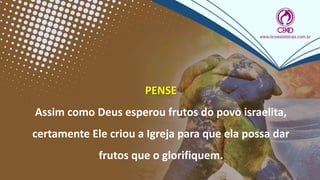 PENSE
Assim como Deus esperou frutos do povo israelita,
certamente Ele criou a Igreja para que ela possa dar
frutos que o glorifiquem.
 
