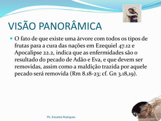 VISÃO PANORÂMICA
 O fato de que existe uma árvore com todos os tipos de
frutas para a cura das nações em Ezequiel 47.12 e
Apocalipse 22.2, indica que as enfermidades são o
resultado do pecado de Adão e Eva, e que devem ser
removidas, assim como a maldição trazida por aquele
pecado será removida (Rm 8.18-23; cf. Gn 3.18,19).
Pb. Edcarlos Rodrigues. 12
 