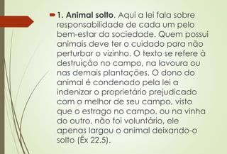 1. Animal solto. Aqui a lei fala sobre
responsabilidade de cada um pelo
bem-estar da sociedade. Quem possui
animais deve ter o cuidado para não
perturbar o vizinho. O texto se refere à
destruição no campo, na lavoura ou
nas demais plantações. O dono do
animal é condenado pela lei a
indenizar o proprietário prejudicado
com o melhor de seu campo, visto
que o estrago no campo, ou na vinha
do outro, não foi voluntário, ele
apenas largou o animal deixando-o
solto (Êx 22.5).
 