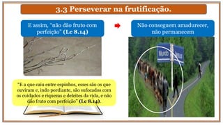 3.3 Perseverar na frutificação.
Não conseguem amadurecer,
não permanecem
E assim, “não dão fruto com
perfeição” (Lc 8.14)
“E a que caiu entre espinhos, esses são os que
ouviram e, indo pordiante, são sufocados com
os cuidados e riquezas e deleites da vida, e não
dão fruto com perfeição” (Lc 8.14).
 