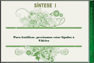Para frutificar, precisamos estar ligados à
Videira
 