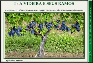 1. A parábola da vinha
A VIDEIRA É O PRÓPRIO SENHOR JESUS CRISTO E OS RAMOS SÃO TODOS OS DISCÍPULOS DE
CRISTO
 