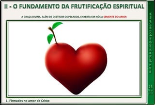 1. Firmados no amor de Cristo
A GRAÇA DIVINA, ALÉM DE DESTRUIR OS PECADOS, ENXERTA EM NÓS A SEMENTE DO AMOR
 
