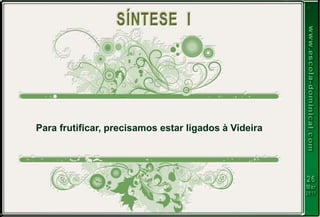 Para frutificar, precisamos estar ligados à Videira
 