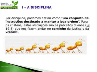 Por disciplina, podemos definir como “um conjunto de
instruções destinado a manter a boa ordem”. Para
os cristãos, estas instruções são os preceitos divinos (Sl
19.8) que nos fazem andar no caminho da justiça e da
verdade.
 