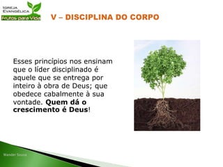 Esses princípios nos ensinam
que o líder disciplinado é
aquele que se entrega por
inteiro à obra de Deus; que
obedece cabalmente à sua
vontade. Quem dá o
crescimento é Deus!
 