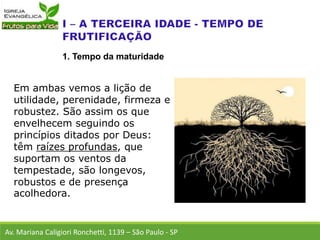 Em ambas vemos a lição de
utilidade, perenidade, firmeza e
robustez. São assim os que
envelhecem seguindo os
princípios ditados por Deus:
têm raízes profundas, que
suportam os ventos da
tempestade, são longevos,
robustos e de presença
acolhedora.
Av. Mariana Caligiori Ronchetti, 1139 – São Paulo - SP
1. Tempo da maturidade
 