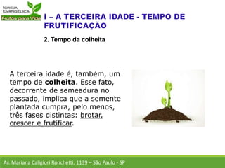 A terceira idade é, também, um
tempo de colheita. Esse fato,
decorrente de semeadura no
passado, implica que a semente
plantada cumpra, pelo menos,
três fases distintas: brotar,
crescer e frutificar.
Av. Mariana Caligiori Ronchetti, 1139 – São Paulo - SP
2. Tempo da colheita
 