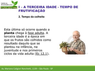 Esta última só ocorre quando a
planta chega à fase adulta. A
terceira idade é a época em
que os frutos são colhidos como
resultado daquilo que se
plantou na infância, na
juventude e nos primeiros
ciclos da vida adulta (Ec 12.1).
Av. Mariana Caligiori Ronchetti, 1139 – São Paulo - SP
2. Tempo da colheita
 