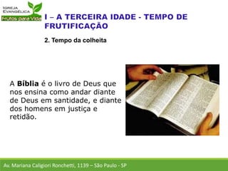 A Bíblia é o livro de Deus que
nos ensina como andar diante
de Deus em santidade, e diante
dos homens em justiça e
retidão.
Av. Mariana Caligiori Ronchetti, 1139 – São Paulo - SP
2. Tempo da colheita
 