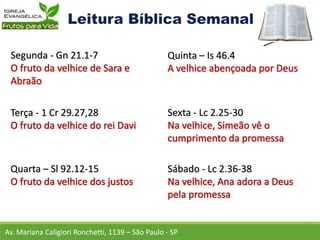 Av. Mariana Caligiori Ronchetti, 1139 – São Paulo - SP
Segunda - Gn 21.1-7
Terça - 1 Cr 29.27,28
Quarta – Sl 92.12-15
Quinta – Is 46.4
Sexta - Lc 2.25-30
Sábado - Lc 2.36-38
 