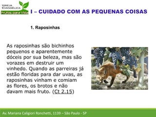 As raposinhas são bichinhos
pequenos e aparentemente
dóceis por sua beleza, mas são
vorazes em destruir um
vinhedo. Quando as parreiras já
estão floridas para dar uvas, as
raposinhas vinham e comiam
as flores, os brotos e não
davam mais fruto. (Ct 2.15)
Av. Mariana Caligiori Ronchetti, 1139 – São Paulo - SP
1. Raposinhas
 