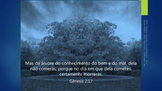 Mas da árvore do conhecimento do bem e do mal, dela
não comerás; porque no dia em que dela comeres,
certamente morrerás.
Gênesis 2:17
 