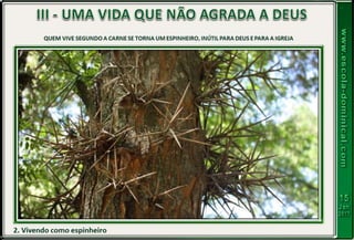 LIÇÃO 03 - O PERIGO DAS OBRAS DA CARNE