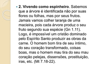  2. Vivendo como espinheiro. Sabemos
que a árvore é identificada não por suas
flores ou folhas, mas por seus frutos.
Jamais vamos colher laranja de uma
macieira, pois cada árvore produz o seu
fruto segundo sua espécie (Gn 1.11).
Logo, é impossível um cristão dominado
pelo Espírito Santo produzir as obras da
carne. O homem bom tira de seu íntimo,
do seu coração transformado, coisas
boas, mas o homem mau tira do seu mau
coração pelejas, dissensões, prostituição,
iras, etc. (Mt 7.18-22).
 