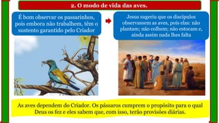 2. O modo de vida das aves.
É bom observar os passarinhos,
pois embora não trabalhem, têm o
sustento garantido pelo Criador
Jesus sugeriu que os discípulos
observassem as aves, pois elas: não
plantam; não colhem; não estocam e,
ainda assim nada lhes falta
As aves dependem do Criador. Os pássaros cumprem o propósito para o qual
Deus os fez e eles sabem que, com isso, terão provisões diárias.
 