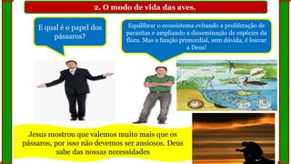 2. O modo de vida das aves.
Jesus mostrou que valemos muito mais que os
pássaros, por isso não devemos ser ansiosos. Deus
sabe das nossas necessidades
E qual é o papel dos
pássaros?
Equilibrar o ecossistema evitando a proliferação de
parasitas e ampliando a disseminação de espécies da
flora. Mas a função primordial, sem dúvida, é louvar
a Deus!
 