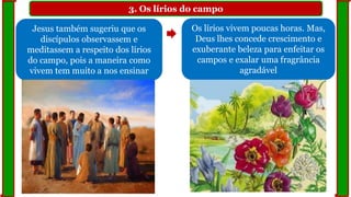 3. Os lírios do campo
Jesus também sugeriu que os
discípulos observassem e
meditassem a respeito dos lírios
do campo, pois a maneira como
vivem tem muito a nos ensinar
Os lírios vivem poucas horas. Mas,
Deus lhes concede crescimento e
exuberante beleza para enfeitar os
campos e exalar uma fragrância
agradável
 