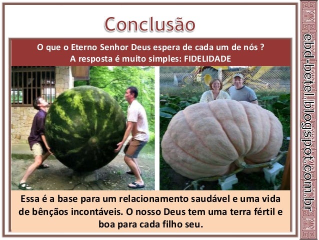 Lição 6
Deus encoraja Josué a liderar e tomar posse da terra prometida