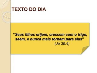 TEXTO DO DIA
“Seus filhos erijam, crescem com o trigo,
saem, e nunca mais tornam para elas”
(Jó 39.4)
 